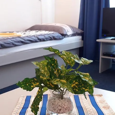 Sd Nemcovej 1 Hostel *