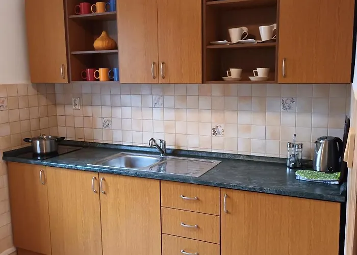 Sd Nemcovej 1 אכסניה קושיצה