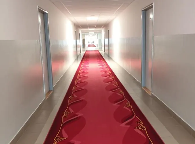 אכסניה Sd Nemcovej 1 *