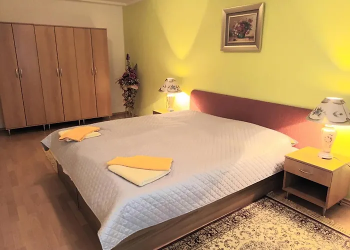 Sd Nemcovej 1 אכסניה קושיצה