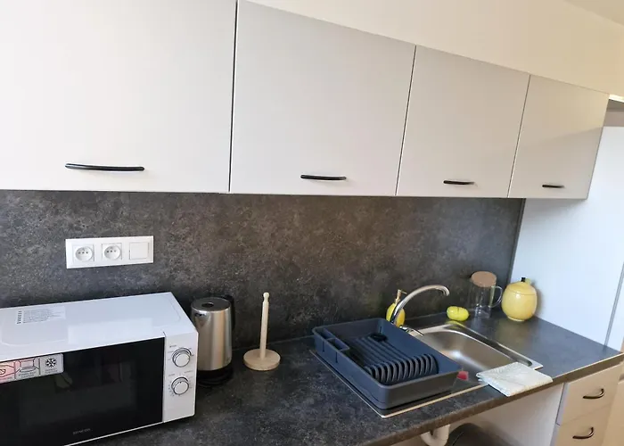 Sd Nemcovej 1 אכסניה