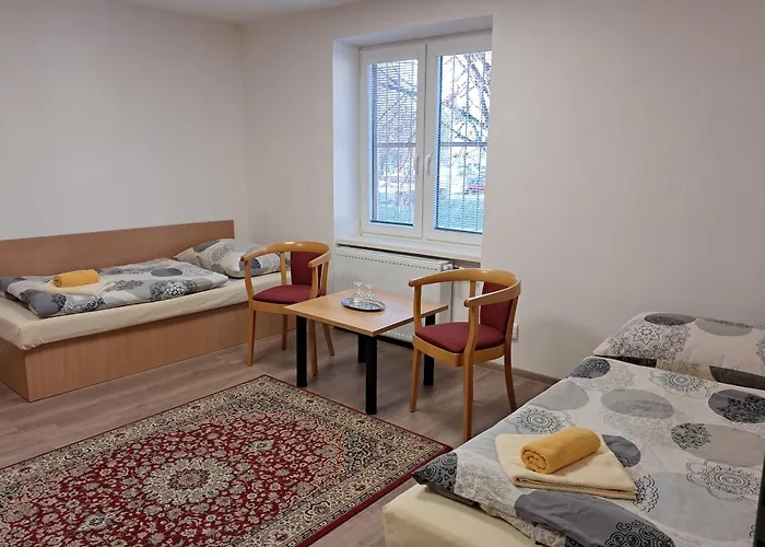 Sd Nemcovej 1 אכסניה *