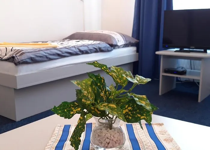 Sd Nemcovej 1 אכסניה *